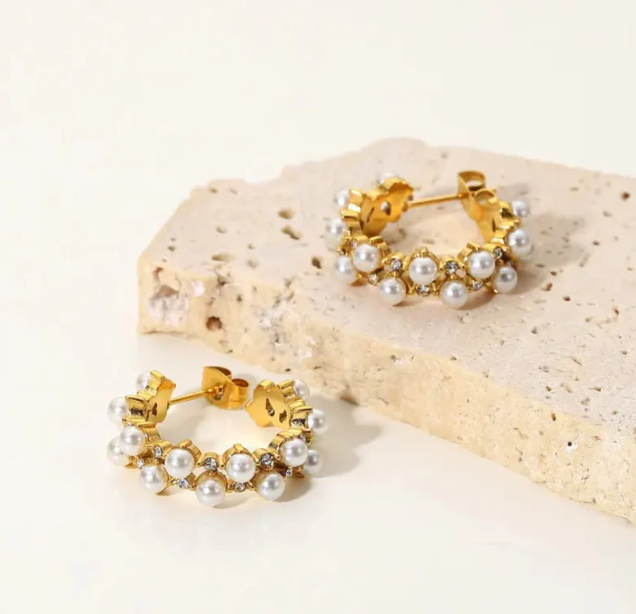 Stainless Steel Premium Quality Earring
