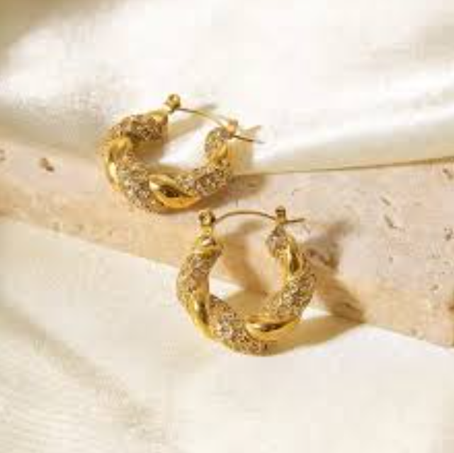 Stainless Steel Premium Quality Earring