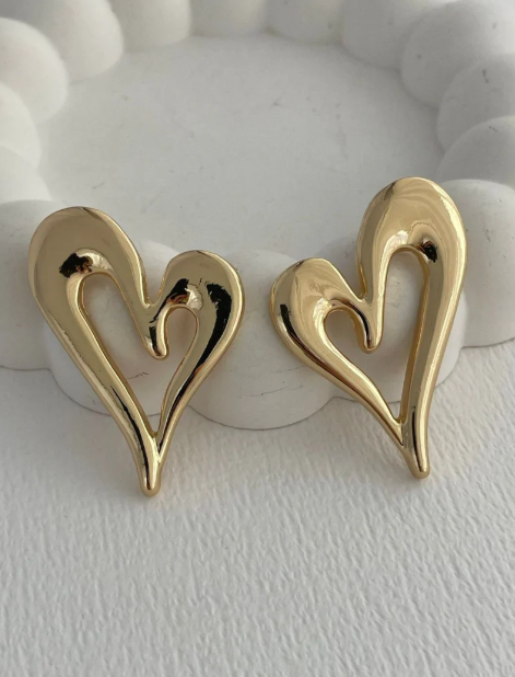Stainless Steel Premium Quality Earrings