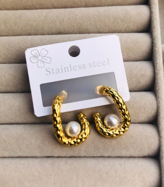Stainless Steel Premium Quality Earrings