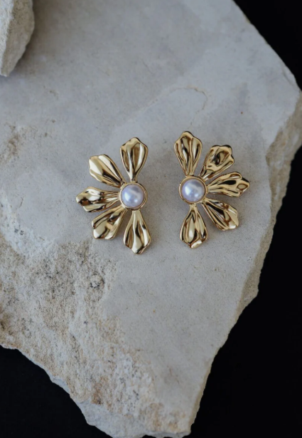 Stainless Steel Premium Quality Earrings