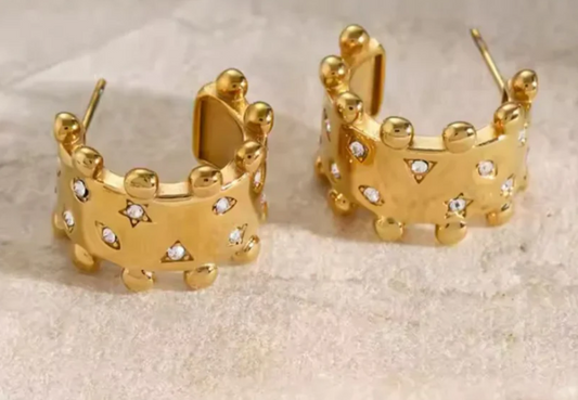 Stainless Steel Premium Quality Earrings