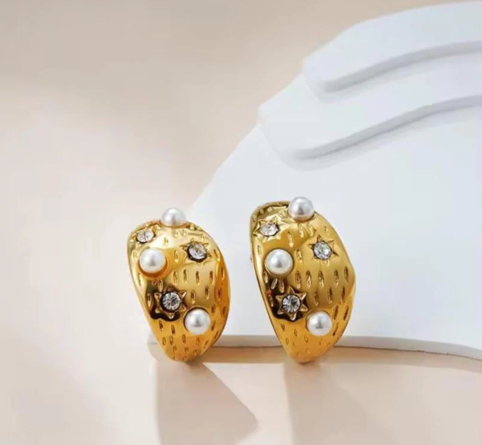 Stainless Steel Premium Quality Earrings