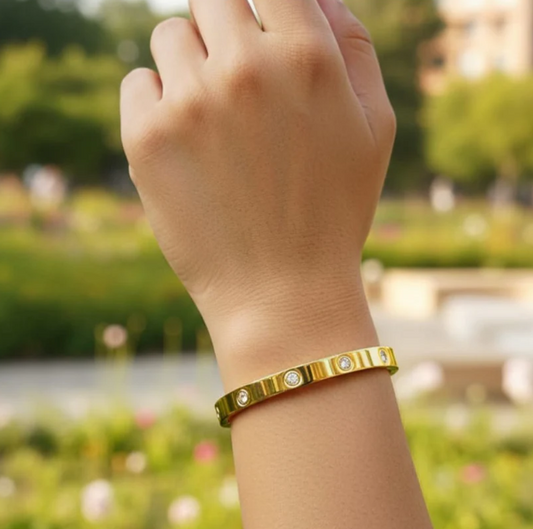 Stainless Steel Premium Quality Handcuff